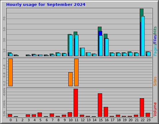 Hourly usage for September 2024