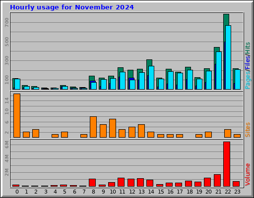 Hourly usage for November 2024