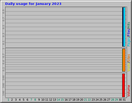 Daily usage for January 2023